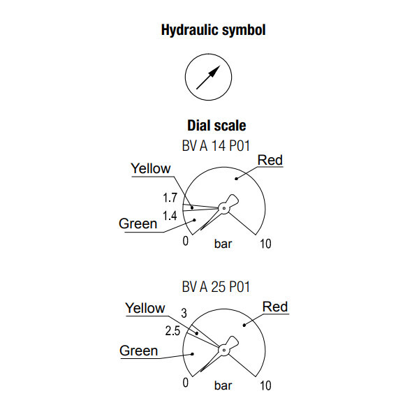 Visual barometric gauge BVR14P01