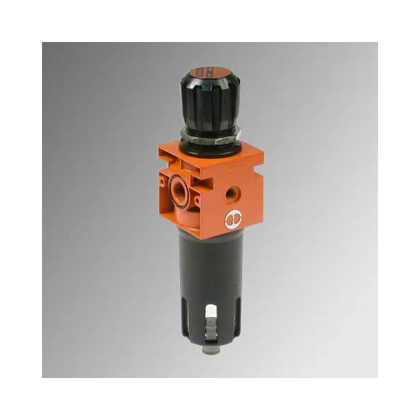 Filter regulator New Deal 1/2" 20 µm 0-8 bar manual