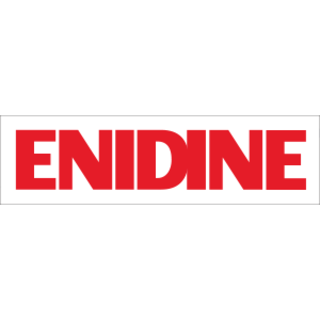 Bilde av Endine logo